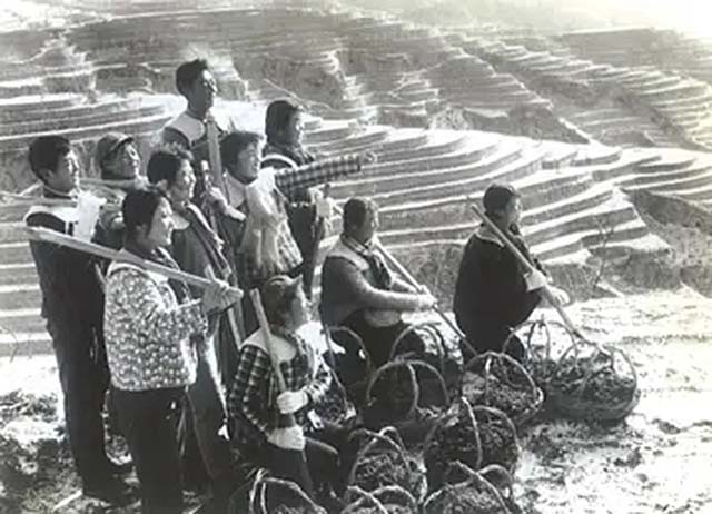 重庆29岁小伙娶53岁老妻,19岁女知青下乡嫁给农村小伙子