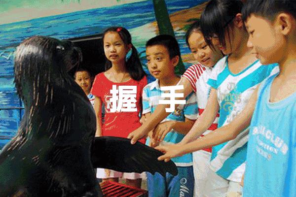 2022年国庆美食游乐嘉年华,国庆美食游乐嘉年华