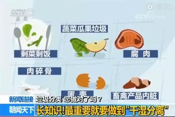 怎么知道你是什么垃圾,你是什么垃圾下一句