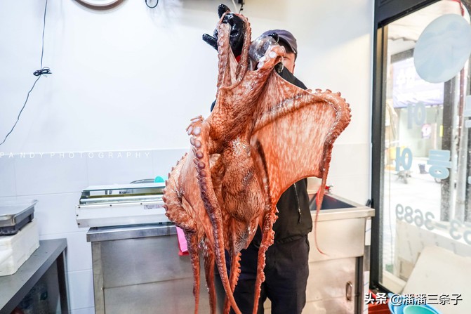 去韩国不购物回来的感受,去韩国一定要买什么