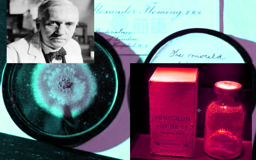 医学发展感悟,回顾与前瞻对未来百年的思考