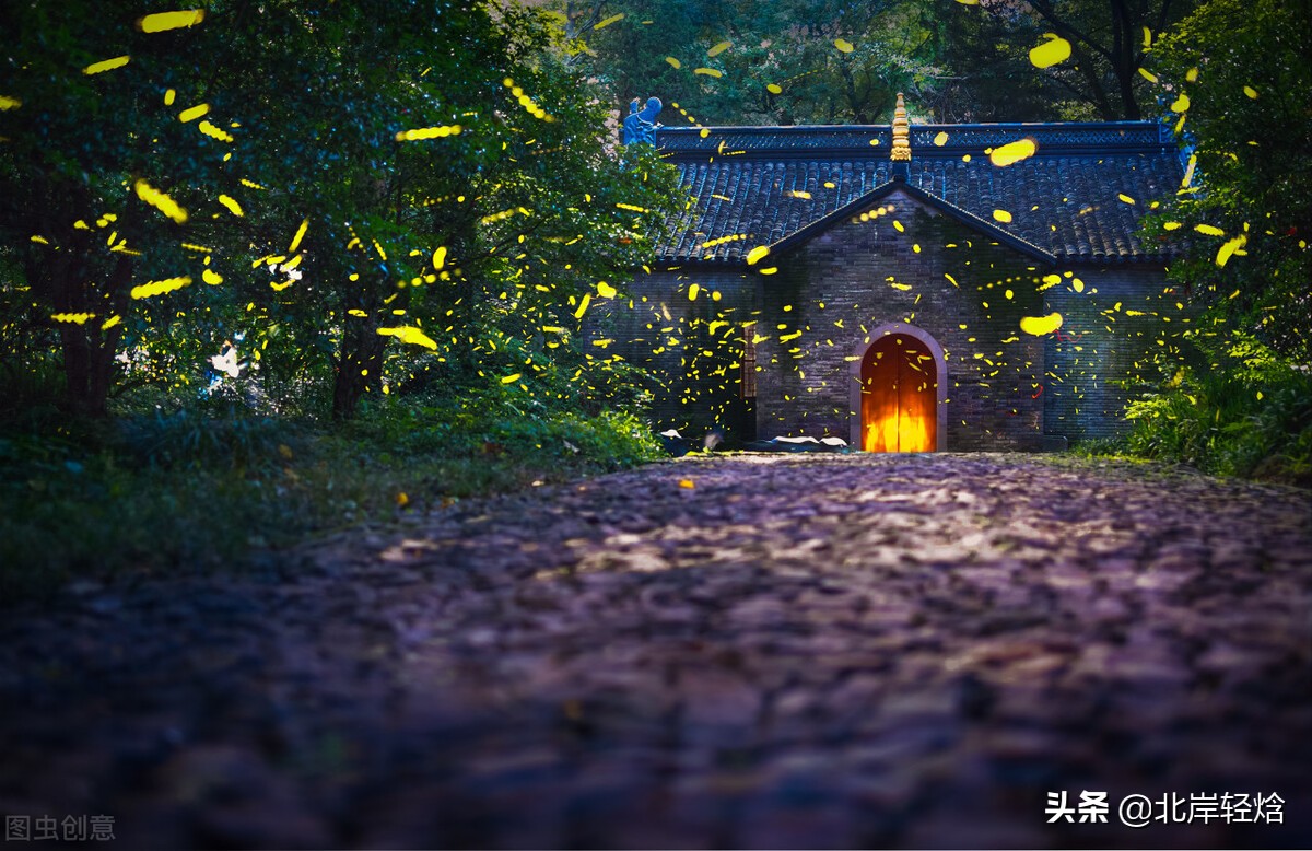 萤火虫发光原理,萤火虫的发光原理实验