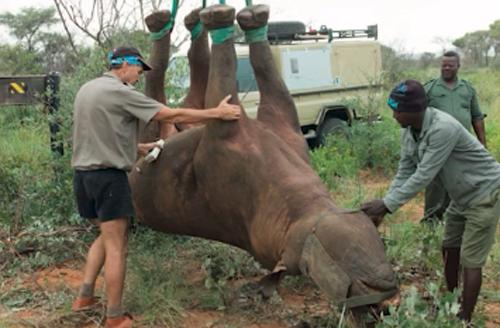 潜艇里杀蟑螂、人类猫语十级,今年的搞笑诺贝尔奖来了