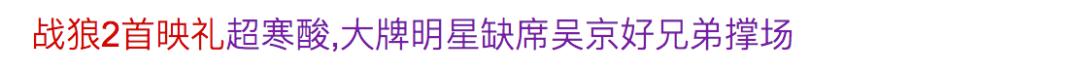 吴京拍战狼为什么没被偷票房,吴京凭借战狼斩获票房