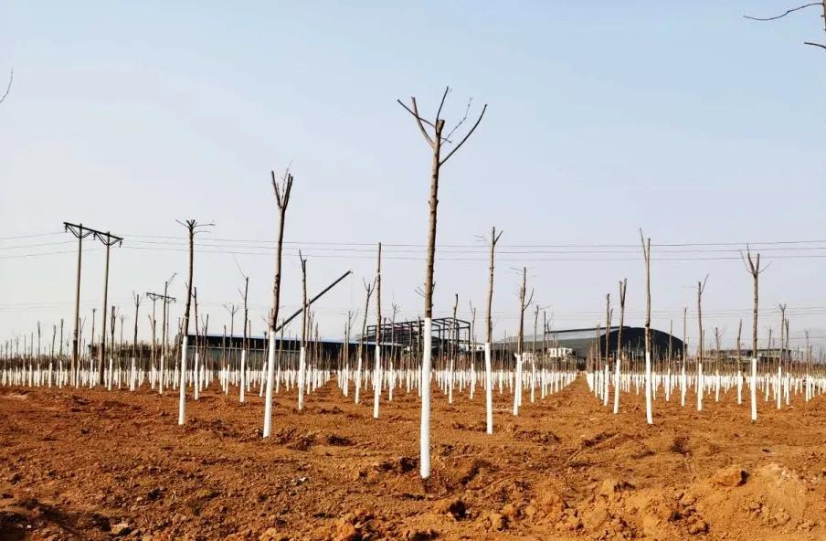 峰峰矿区哪个乡镇最好,峰峰美丽乡村都有哪些