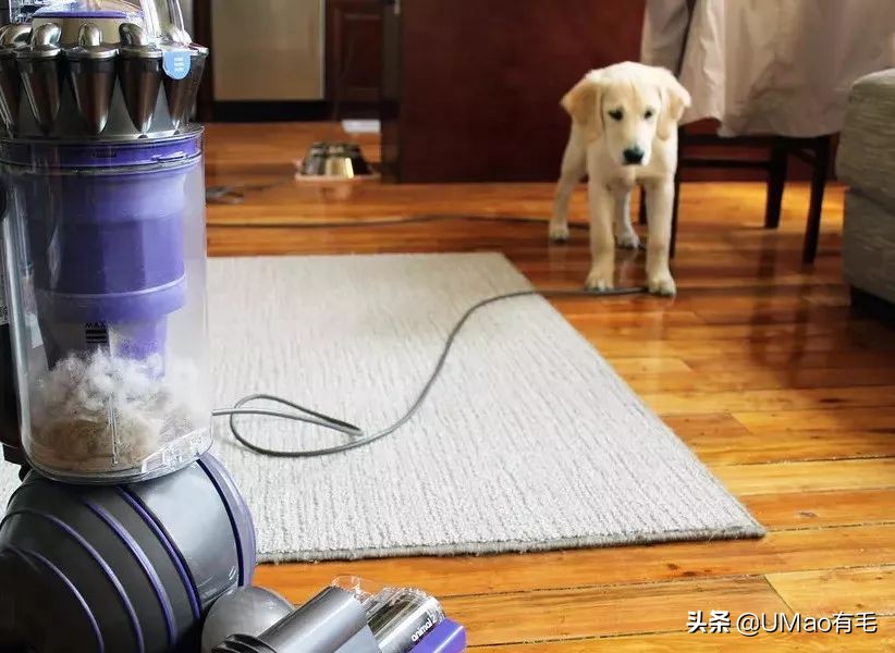 猫梳子去毛神器,去猫毛神器哪个最好