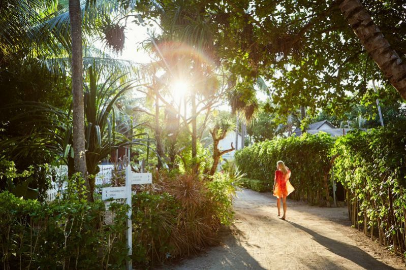马尔代夫南阿里环礁丽世岛,马尔代夫曼德芙仕岛旅游