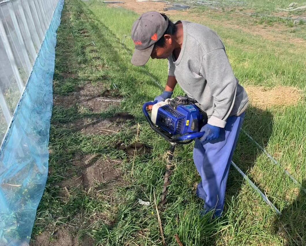 蔬菜大棚最省钱的建造方法,钢结构蔬菜大棚造价每亩多少