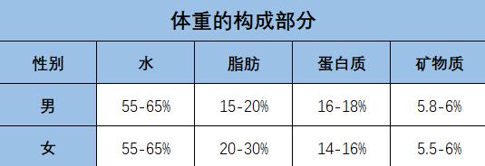 如何在一天内瘦5斤?看体重的构成部分及变化因素