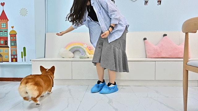 吸屁屁，短腿大耳肉嘟嘟，这家店进去就出不来了…