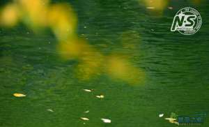 游钓篇｜渔在熊猫故里