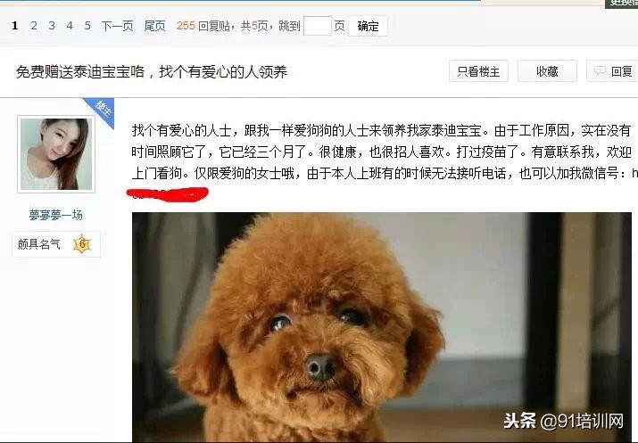 100种产品营销策略,推广产品100种方法