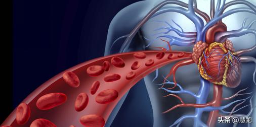 耐力运动需要补充什么元素,补充运动耐力所需营养元素