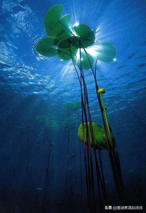 370个成语之最风趣幽默太精辟了,100个幽默成语大全