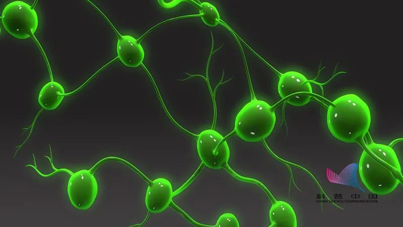 身体多部位淋巴结肿大是什么原因,淋巴结肿大按摩哪个部位最有效