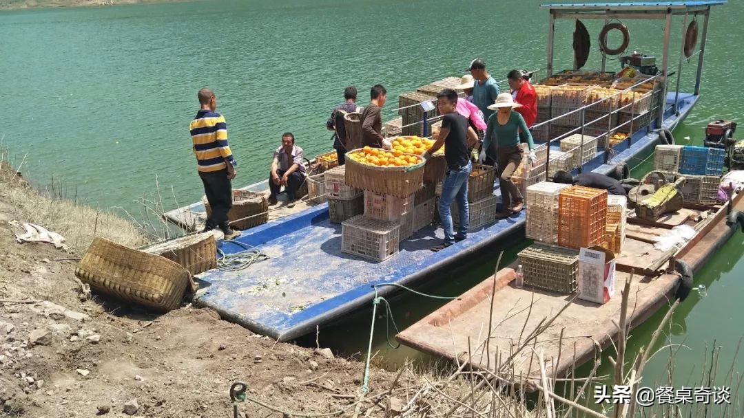 只有在五月能吃到的美食,5月的伦晚脐橙