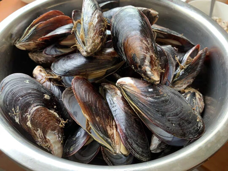 特色菜春天第一鲜,春天必吃的第一鲜