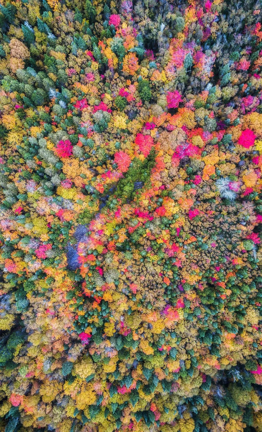 秋天的简短英文诗,关于秋天的经典英文诗