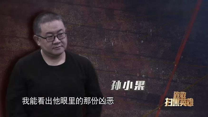 公安局长是黑老大电视剧,公安局长是黑老大的电视剧