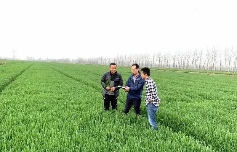 春耕复产农事忙,春耕时节服务忙