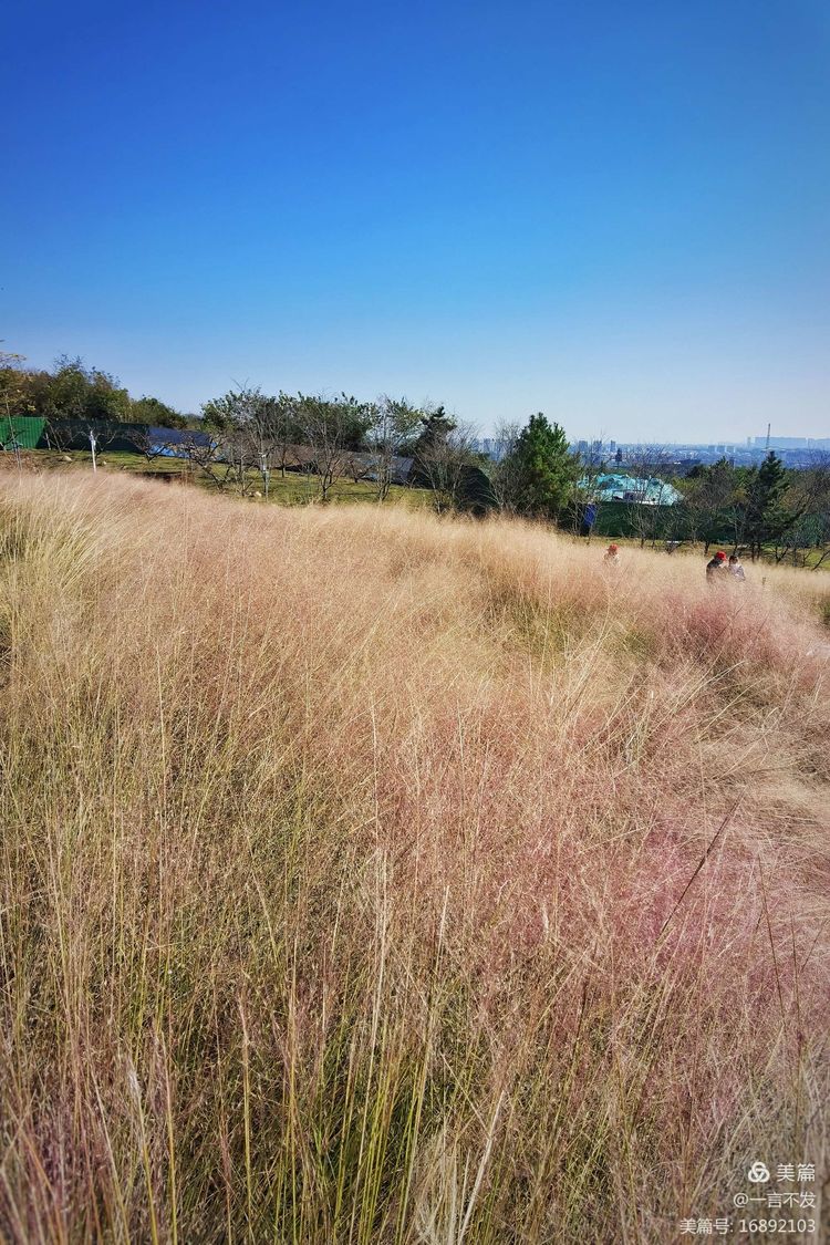 南京园博园时光亦谷游玩攻略路线,紫清湖和园博园哪个值得一去