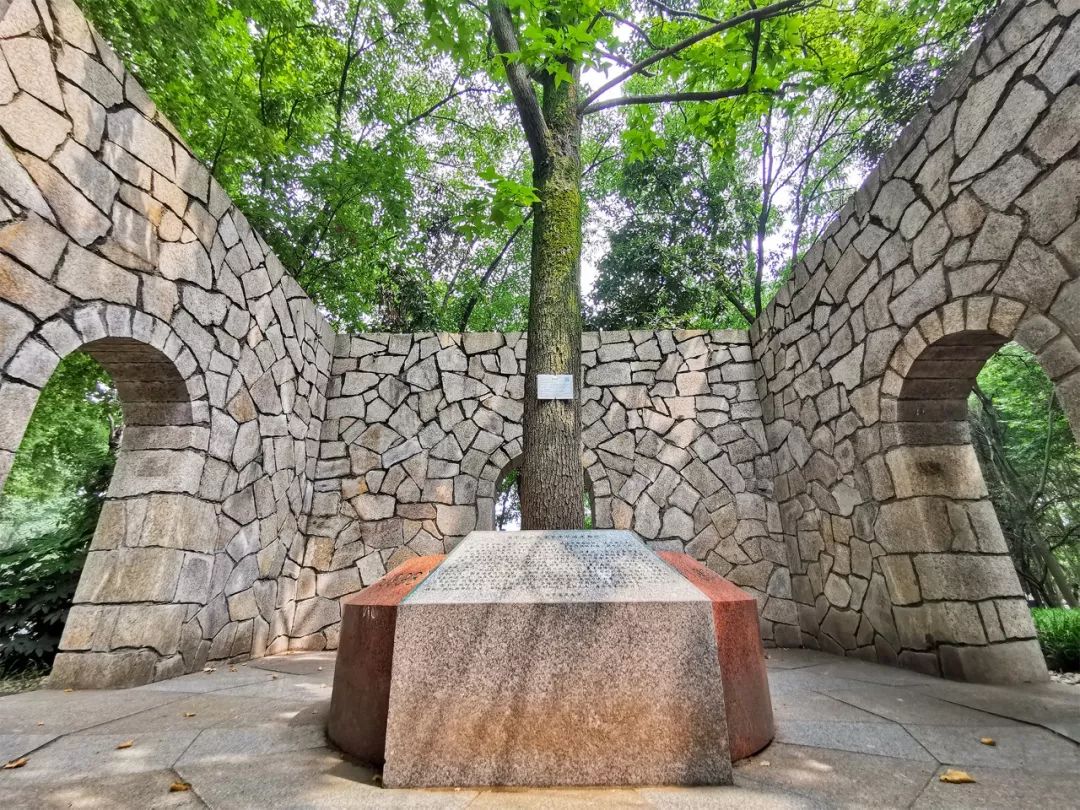 全国第一！华中农业大学真是太太太牛了