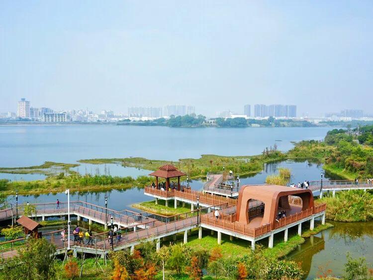 深圳免费公园哪里最好啊,深圳十大免费公园景点大全