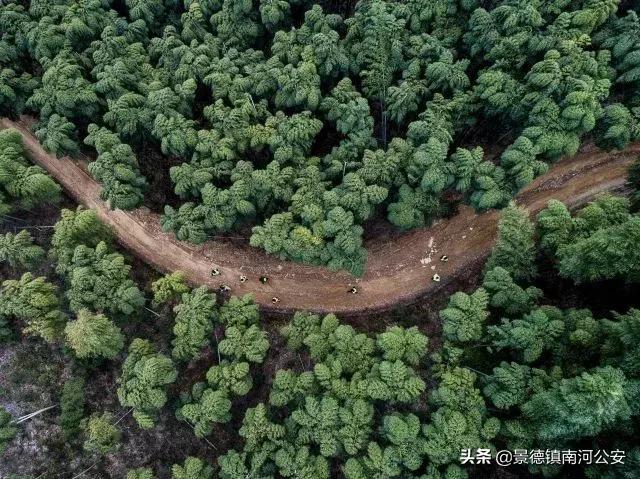 新华社年度照片,这就是中国的2018