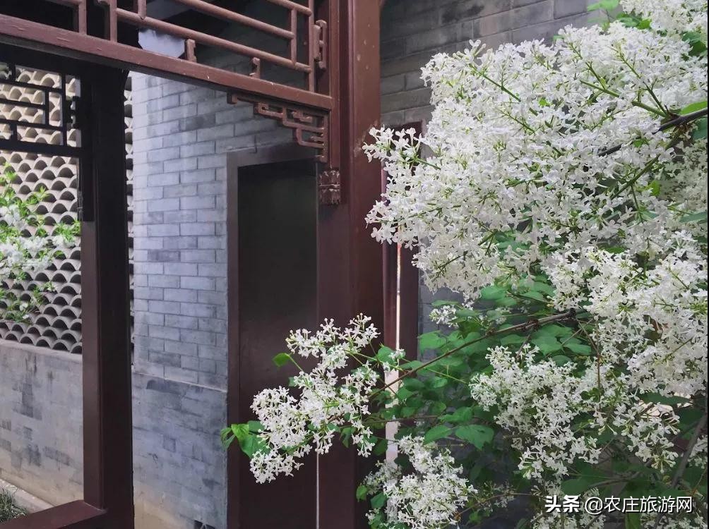 有历史文化气息的老院子,老院子美到骨子里