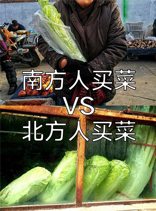 为什么说秦岭是风水宝地,秦岭之所以称之为中国的脊梁