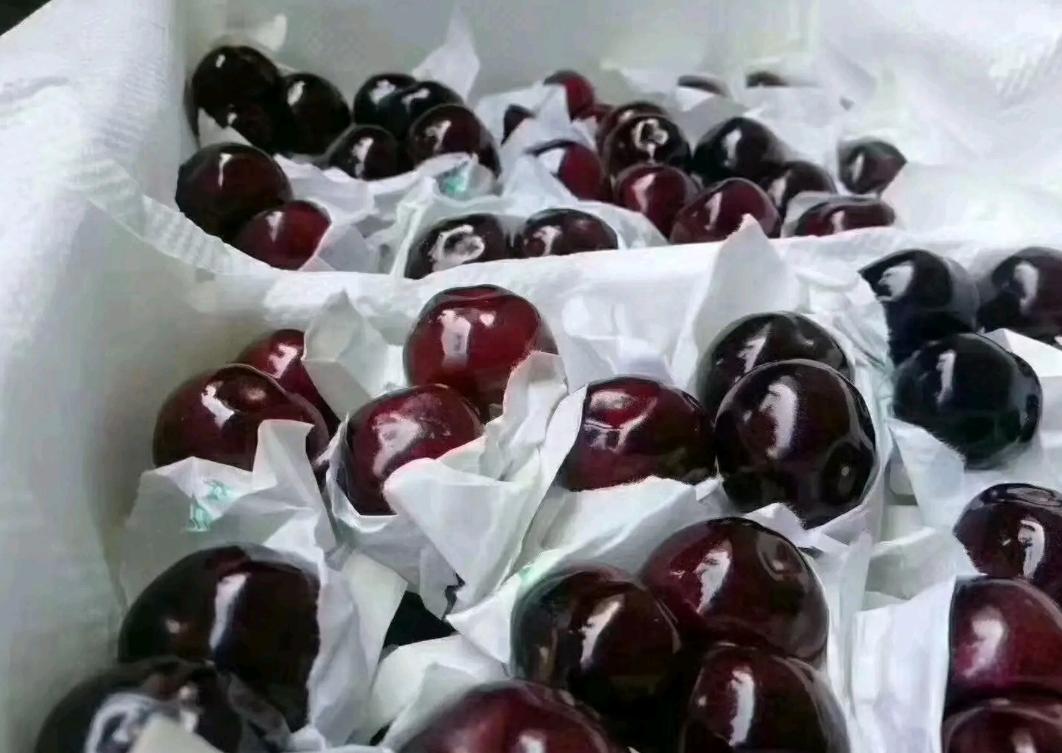 大樱桃裂果病防治,大樱桃树裂果怎么治