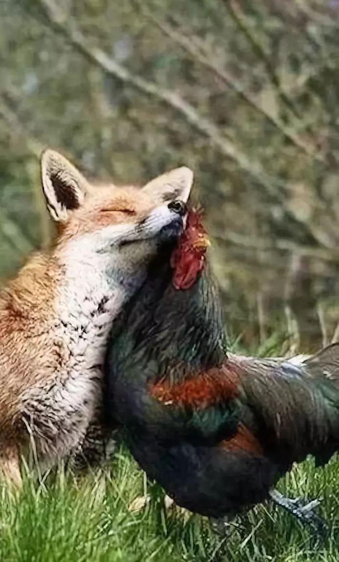 发现被别人偷拍照片,偷拍别人的照片是否违法