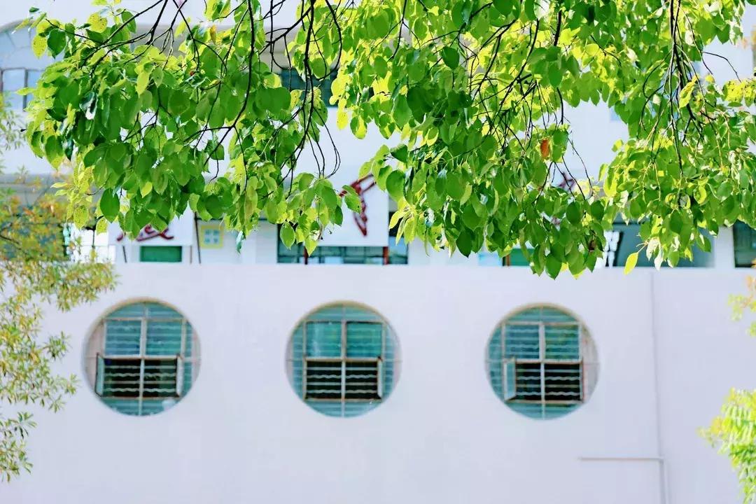 江西省南康中学校歌歌词,大余南安中学校歌