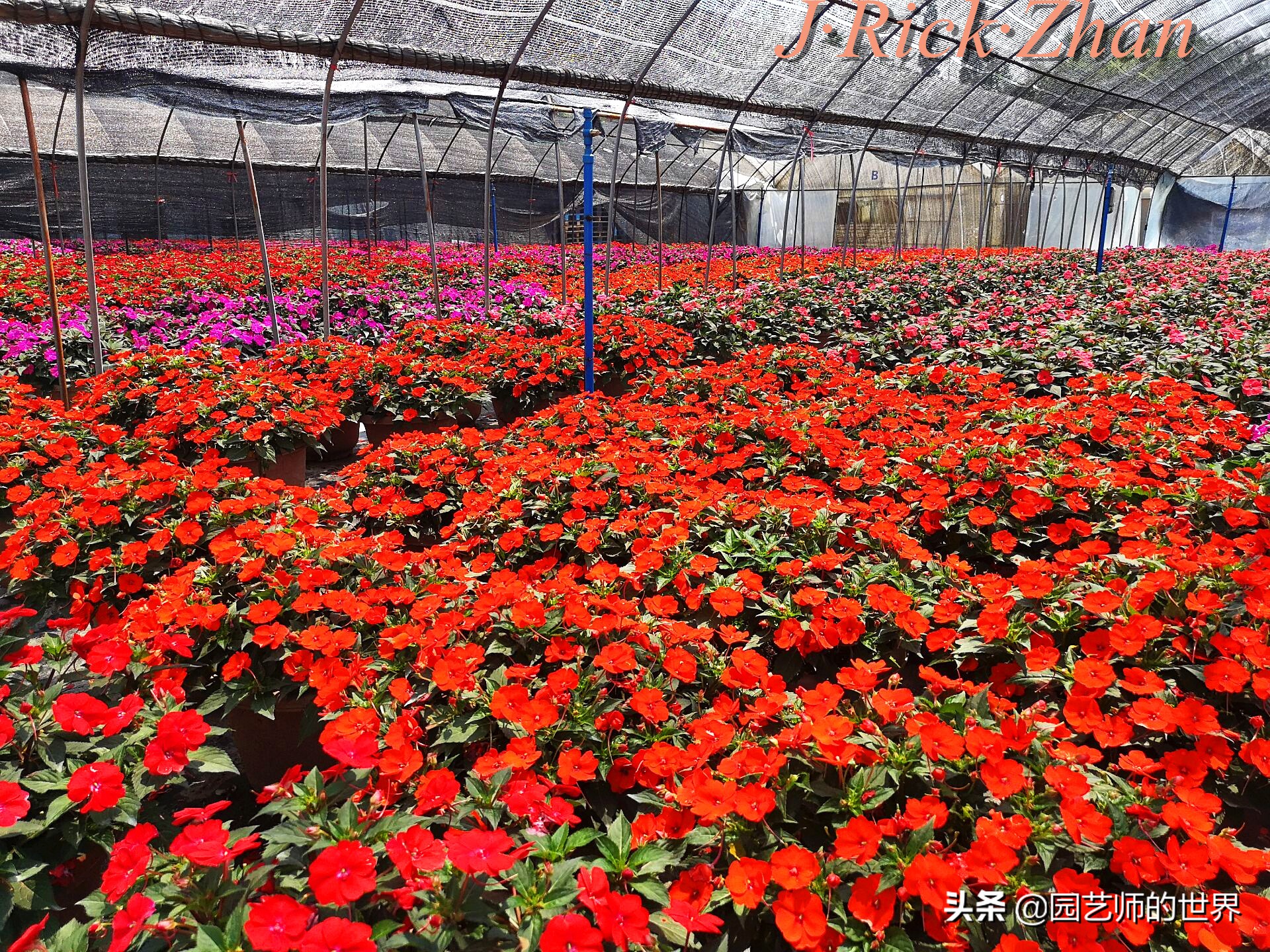 值得参观的国内优秀花园之品鉴（上篇）