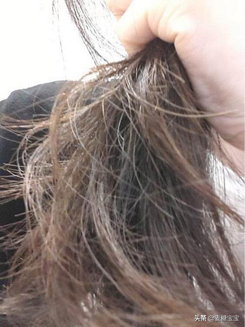 头发干枯毛躁易脱落怎么办,头发干枯掉头发怎么护理