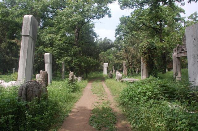 孔林是最大的氏族墓地吗,孔林最大墓葬群