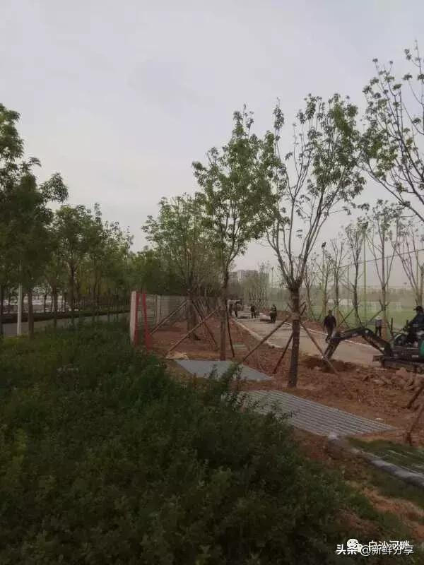 白沙湾足球基地比赛,2016哥德杯青少年足球赛开幕式