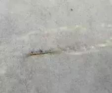 预制构件质量问题及整改措施,预制构件安装容易出现的问题