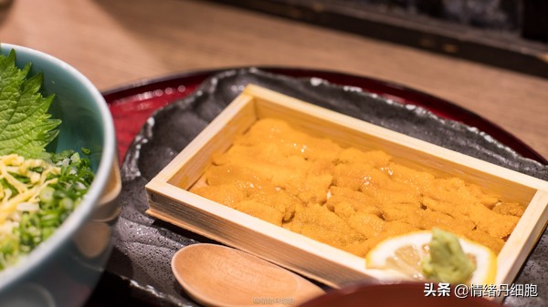 皇家加勒比邮轮量子号新加坡出发,皇家加勒比海洋量子号邮轮之旅