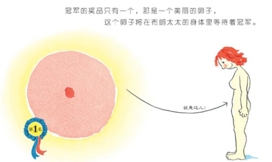 郑渊洁适合两岁童话绘本,郑渊洁最好看的十本书