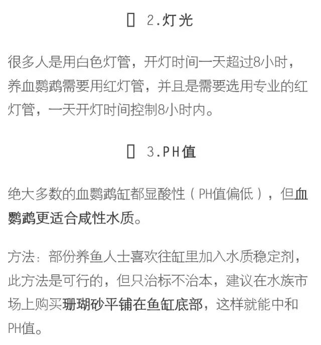 血鹦鹉鱼疾病和治疗方法,红鹦鹉怎么治疗最有效