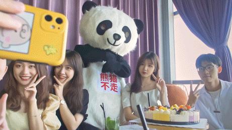 社群粉丝超300万，年复购3.7次，网红蛋糕熊猫不走的暴走之路