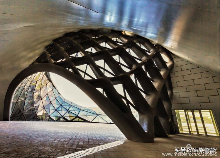 我与大学的初恋,我和我的初恋