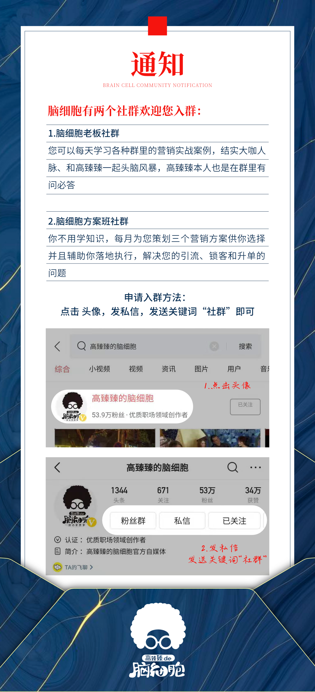 只需几百元钱，外包你的营销部给脑细胞（报名超火爆）