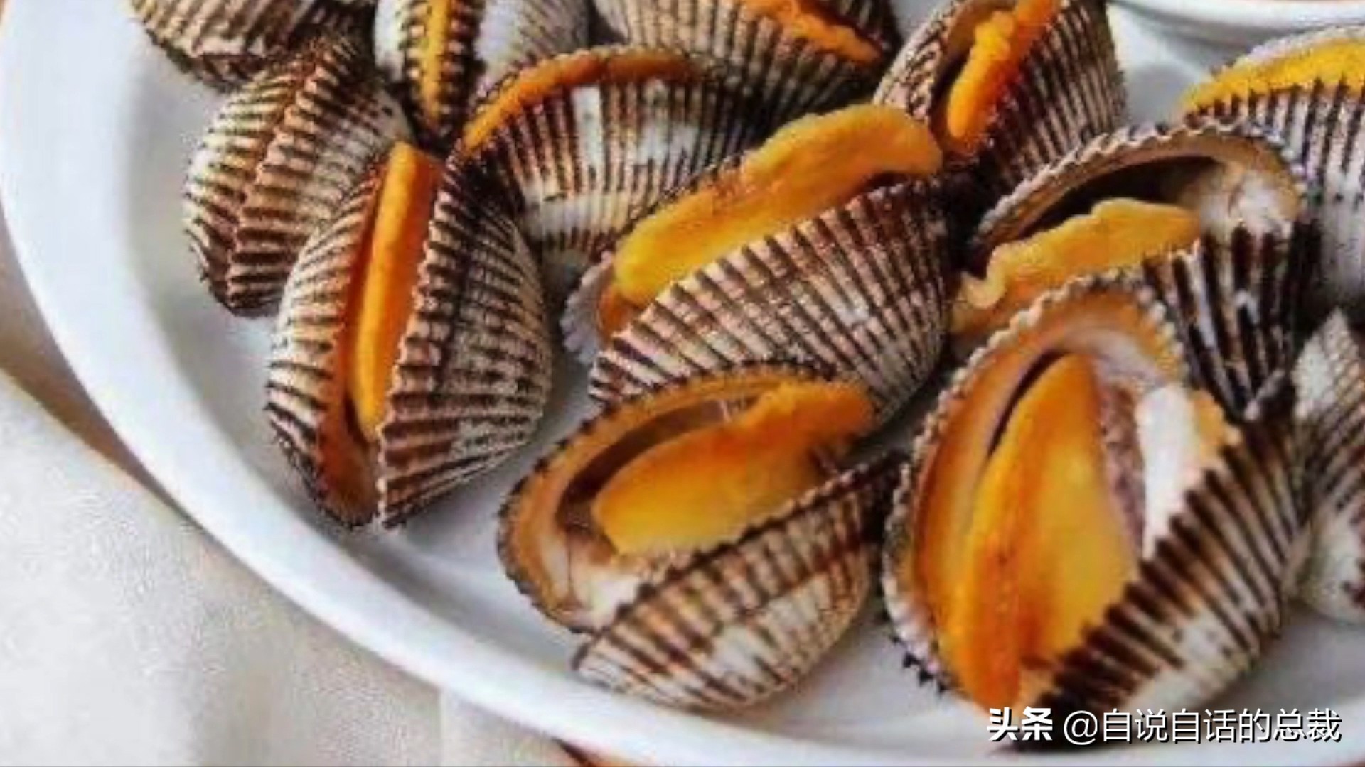 蚶蛤蛏蚬区别,蛤蜊蚶子蛏子区别