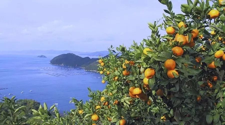 上海全部游玩,上海一日游景点推荐最全攻略