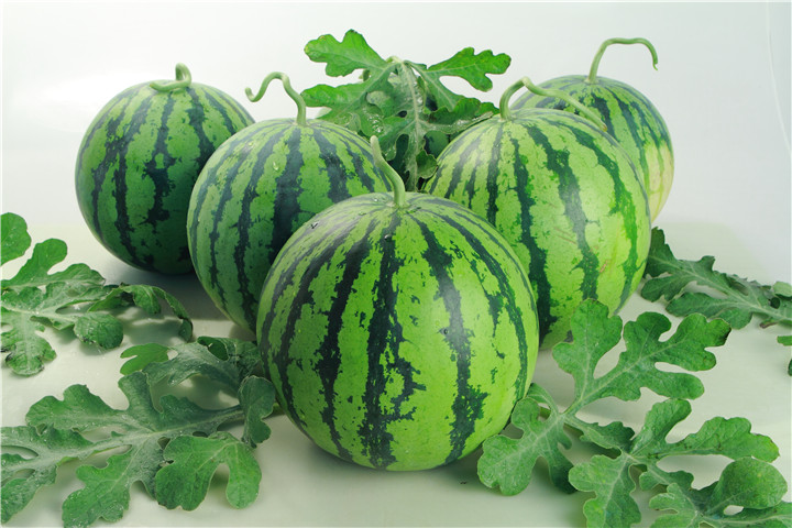 西瓜苗根腐病怎么治,种植西瓜果腐病怎么治