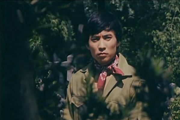 大武生演的什么,大武生孙悟空