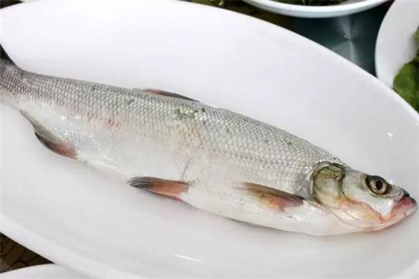 白条闹窝严重这4个方法你用过没,怎样防止白条闹窝视频教学