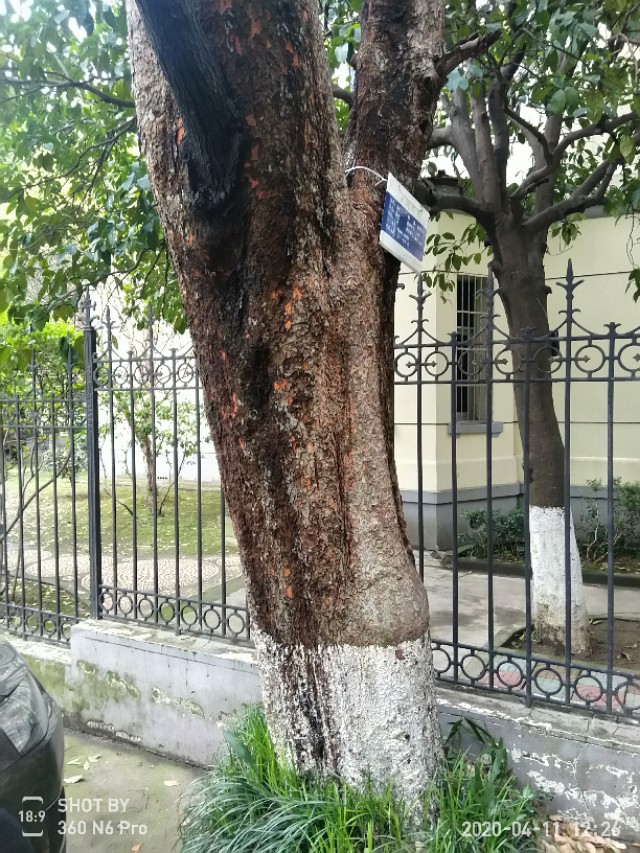 安庆海军116医院影像科,海军安庆116医院属于部队吗